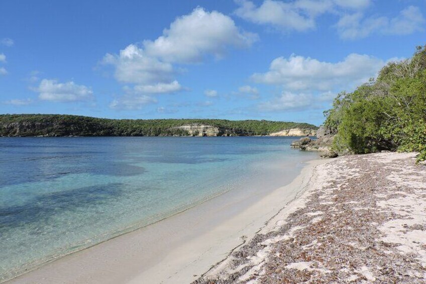 Isla de Vieques Beach Sightseeing Day Tour