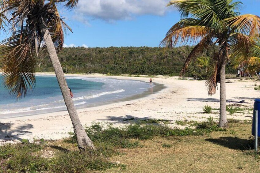 Isla de Vieques Beach Sightseeing Day Tour