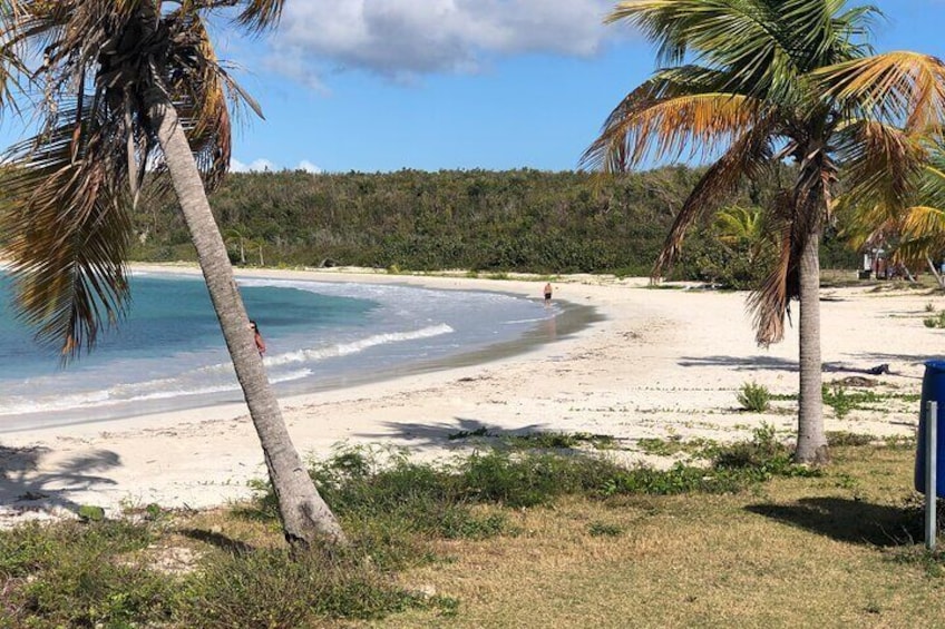 Isla de Vieques Beach Sightseeing Day Tour