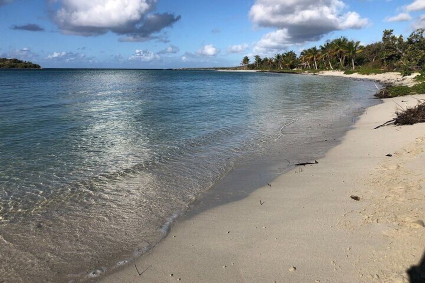 Isla de Vieques Beach Sightseeing Day Tour