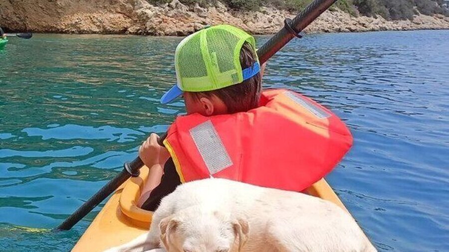 From Athens Day Trip to Sea Kayak Sunken City of Epidaurus