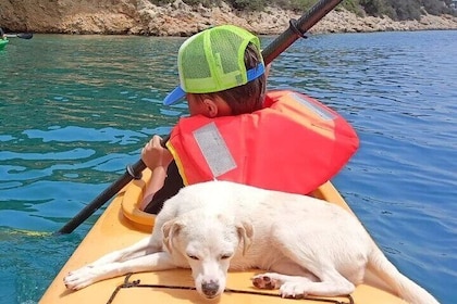 Fra Athen dagstur til havkajak Sunken City of Epidaurus