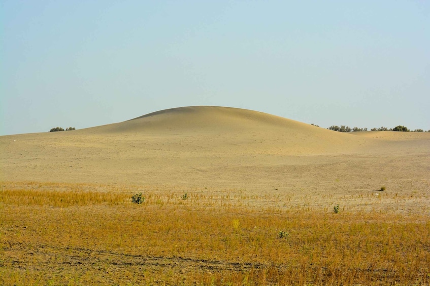 Picture 6 for Activity Jaisalmer Private City Tour with Camel Safari in Desert