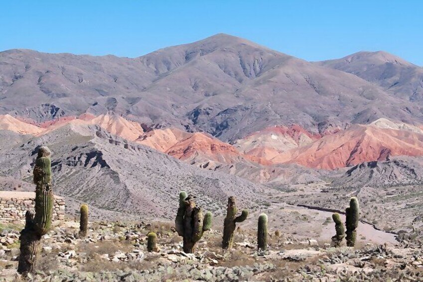 From Jujuy: Full Day Tour to Humahuaca Purmamarca and Tilcara