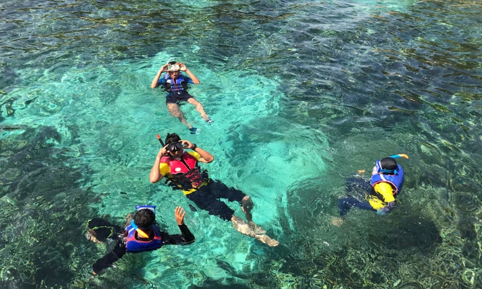 Vietnam : Snorkeling in the North island