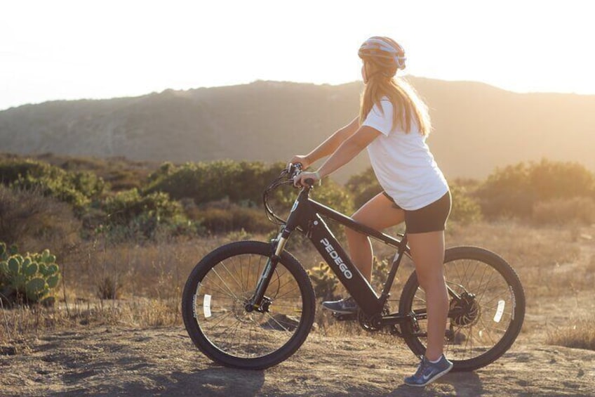 High Quality Pedego Ebike Rentals
