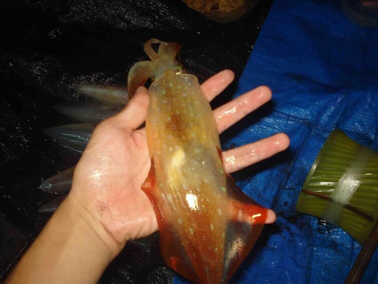 Vietnam : Enjoy Sunset & Night Squid Fishing