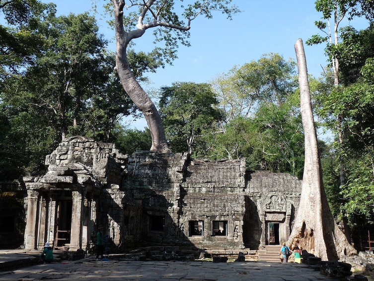 Cambodia: Private Full day tour with Free local Foot Reflexology