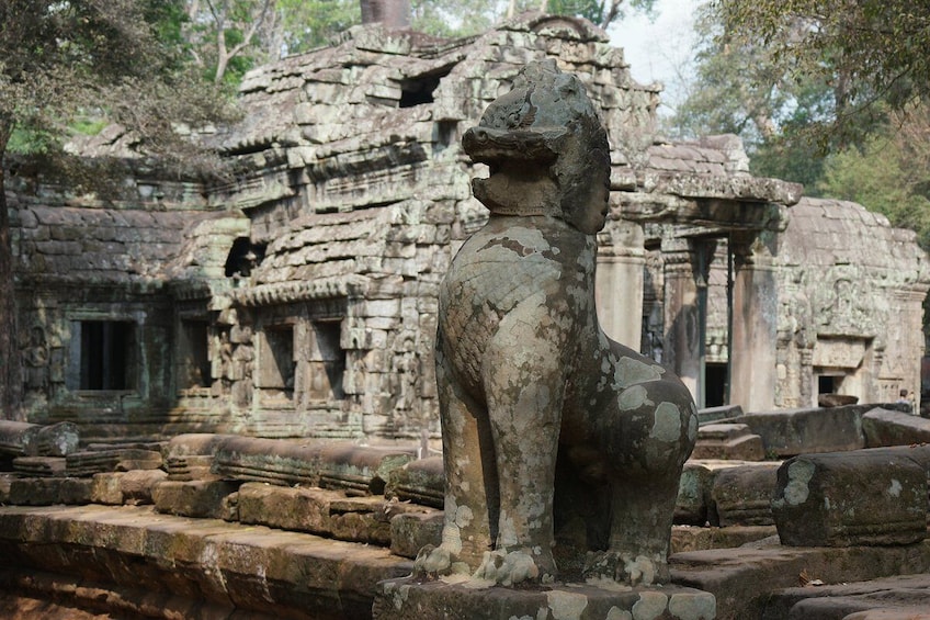 Cambodia: Private Full day tour with Free local Foot Reflexology