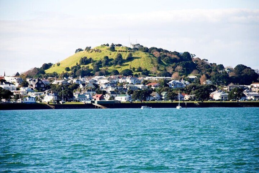 Auckland City Highlights and Hidden Gems Half Day Tour