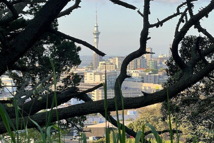 Auckland City Highlights and Hidden Gems Half Day Tour