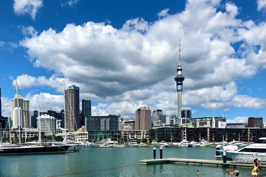 Auckland City Highlights and Hidden Gems Half Day Tour