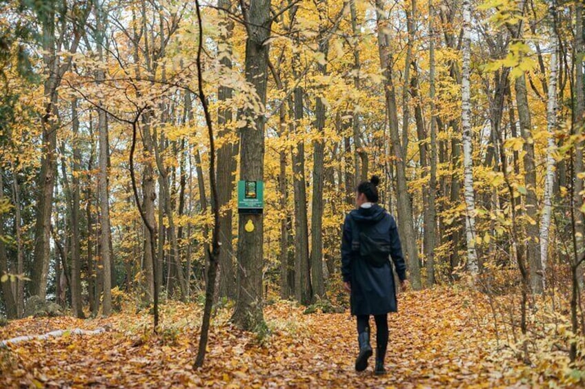 1 Hour Private Photoshoot Experience in Toronto