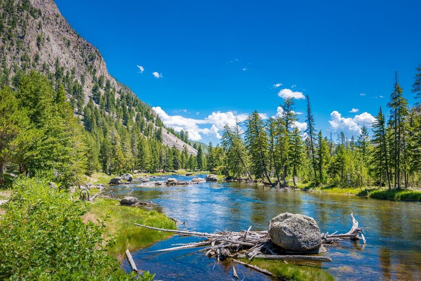 Rocky Mountain & Yellowstone NP Self-Guided Audio Tour Bundle