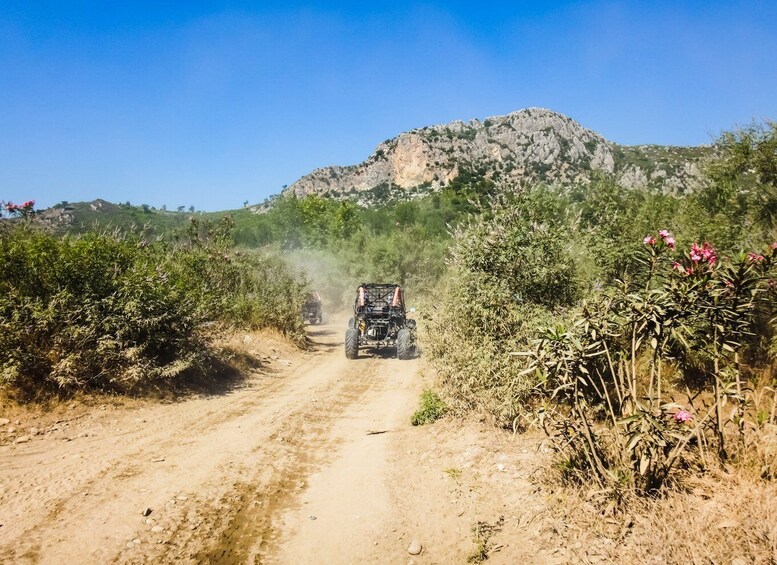 Picture 4 for Activity Marmaris: 2-Hour Buggy Safari