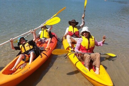 Daytime Kayak Eco Tour of New South Wales