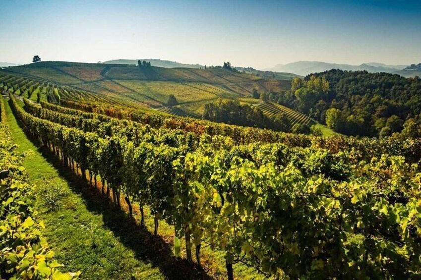 Cortona and Lake Trasimeno Full Day Tour with Lunch