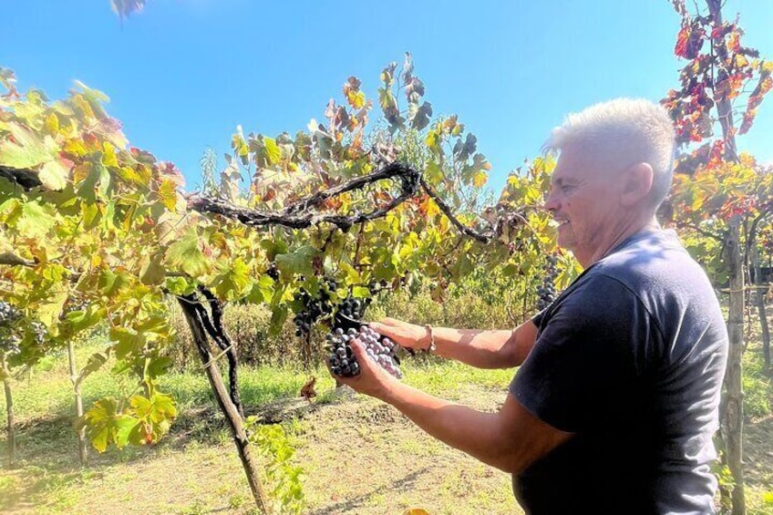 Nonno Sebastiano’s Vineyard and its history, wine & food tasting