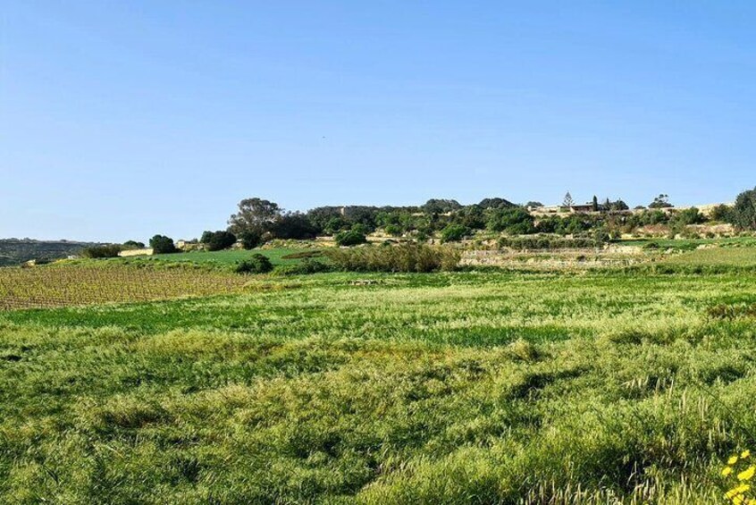 Private Half Day Tour at Marsaxlokk Island of Malta