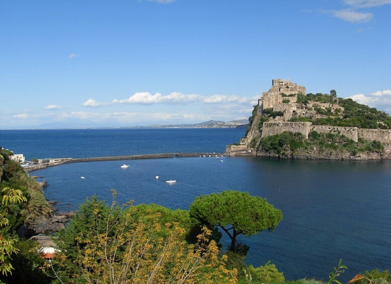 Picture 3 for Activity Ischia: Half-Day Scenic Bus Tour