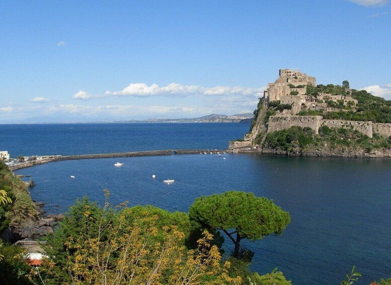 Picture 3 for Activity Ischia: Half-Day Scenic Bus Tour