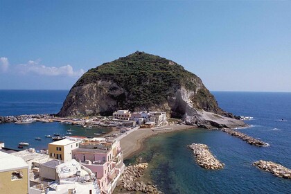 Ischia : demi-journée de visite panoramique en bus