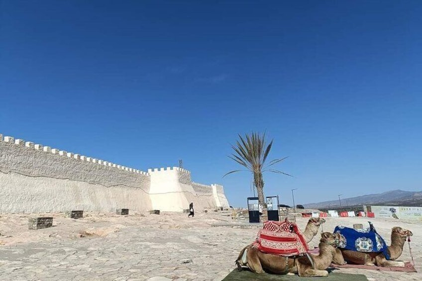 Agadir Private City Tour & Visit of Medina Polizzi 