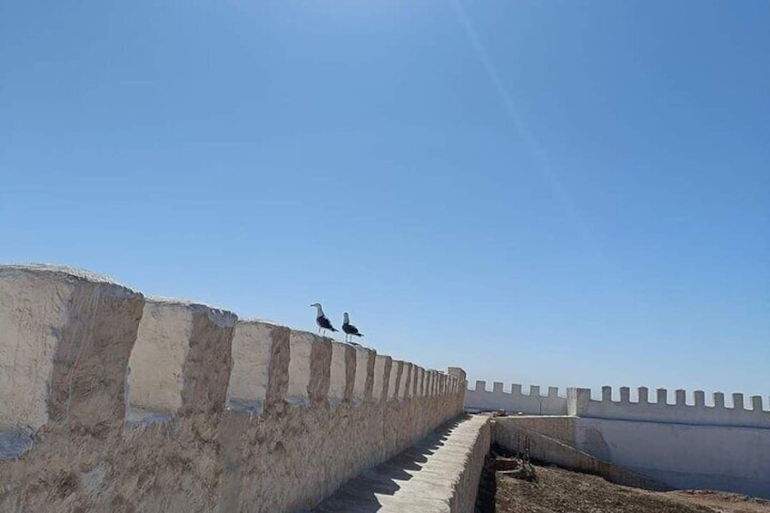 Agadir Private City Tour & Visit of Medina Polizzi