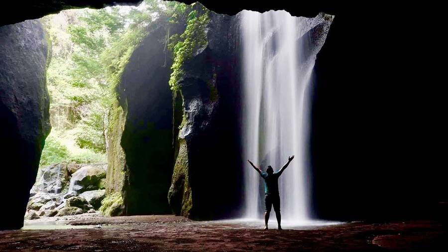 Ubud: Half-Day Semi-Customized Private-Tour with Live Guide