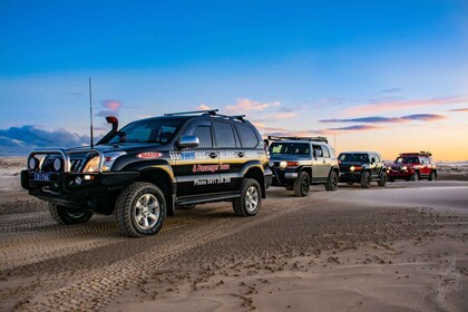 Port Stephens: Tur 4WD di Bukit Pasir Stockton 4WD Tag-Along Tour