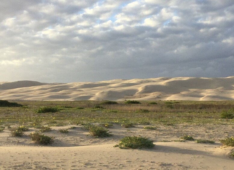 Picture 2 for Activity Port Stephens: Stockton Sand Dunes 4WD Tag-Along Tour