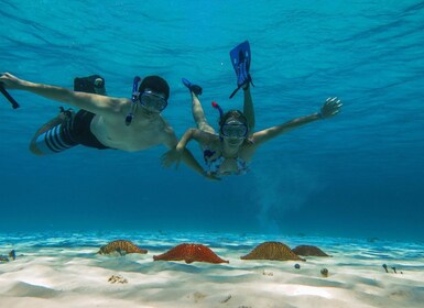 Cozumel: Snorkeling alle barriere Palancar, Columbia e El Cielo