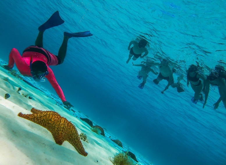 Picture 2 for Activity Cozumel: Snorkeling to Palancar, Columbia and El Cielo reefs