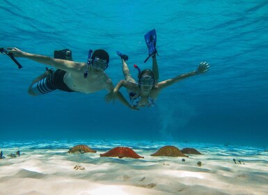 Cozumel: Snorkel en Palancar, Columbia y El Cielo