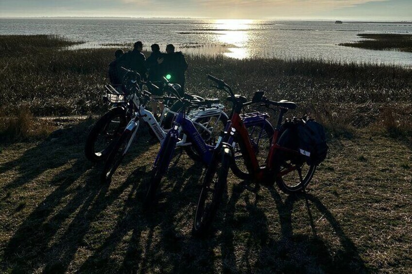 Chincoteague E-bike Tours