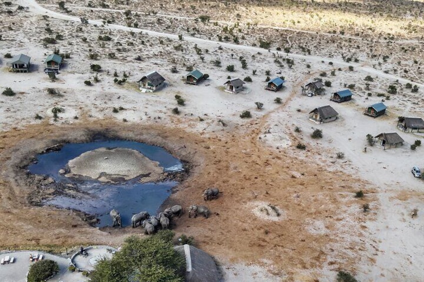 Online Drone Flying in Botswana