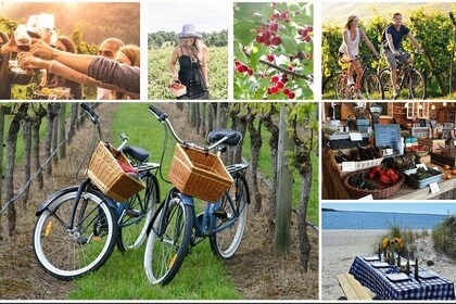 Guided Farm and Wine Country Bike Tour in Mattituck NY