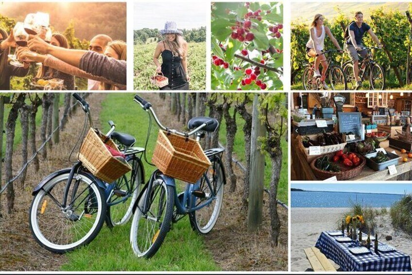 Guided Farm and Wine Country Bike Tour in Mattituck NY 