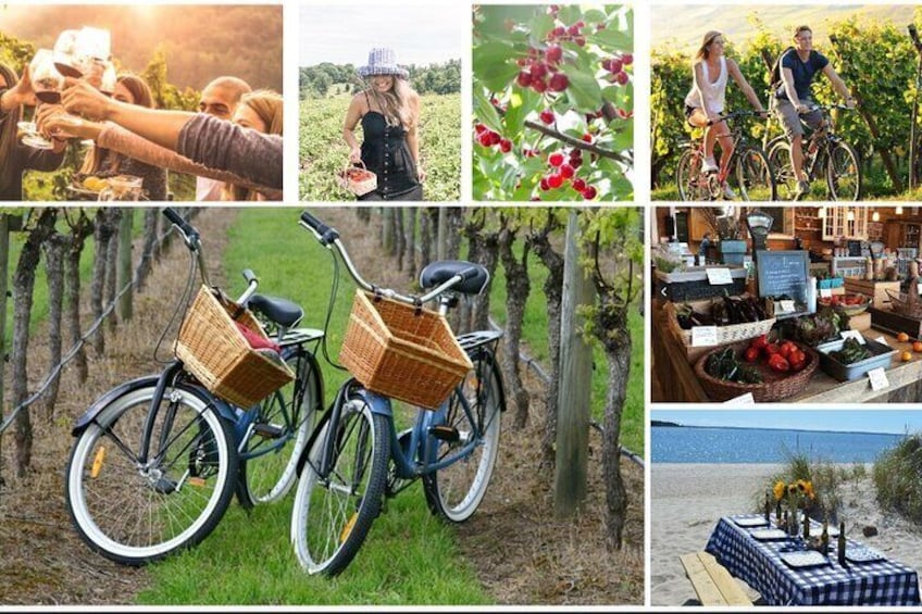 Guided Farm and Wine Country Bike Tour in Mattituck NY