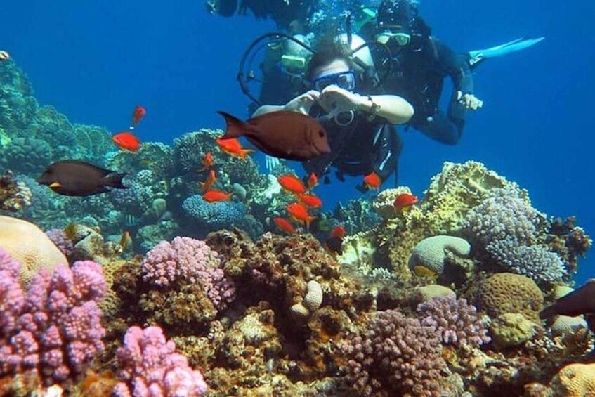 Picture 3 for Activity Sharm El-Sheikh: Scuba Dive Introduction from the Shore