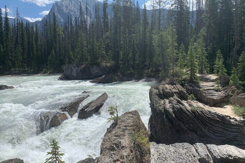 Full Day Tour in Moraine Lake, Lake Louise & Yoho N.P.