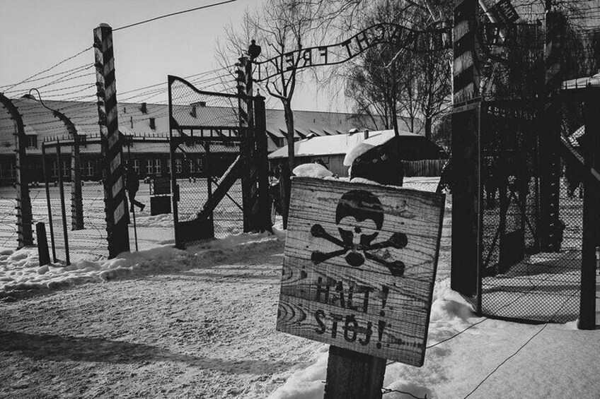 Auschwitz Birkenau Guided Tour with Luxury Transport from Krakow