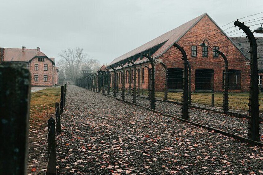 Auschwitz Birkenau Guided Tour with Luxury Transport from Krakow