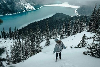 Banff: Lake Louise, Marble Canyon, Bow Lake, Peyto Lake Tour