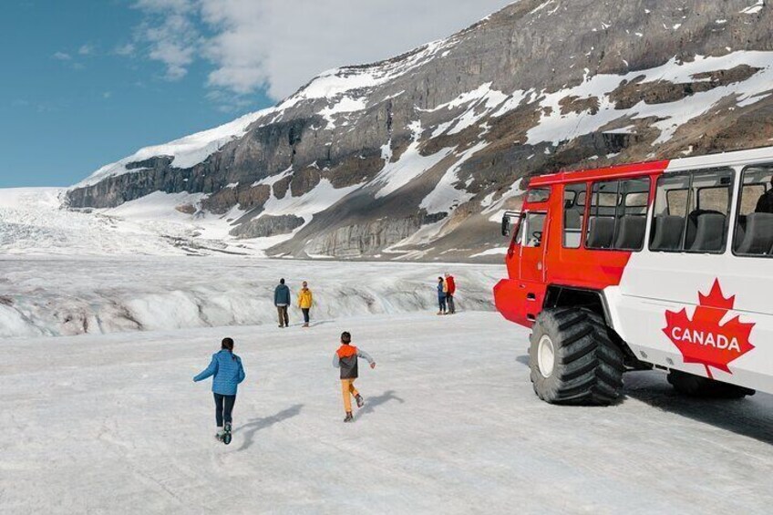 Full Day Tour in Columbia Icefields, Peyto lake and Bow lake