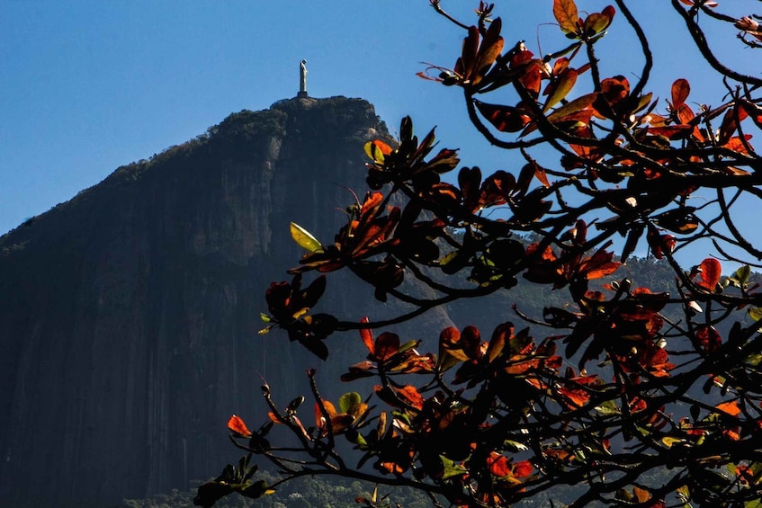 Picture 3 for Activity Rio de Janeiro: Guided Bike Tours in Small Groups