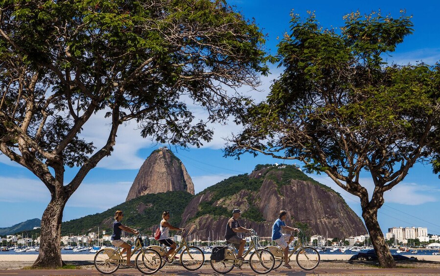 Picture 2 for Activity Rio de Janeiro: Guided Bike Tours in Small Groups