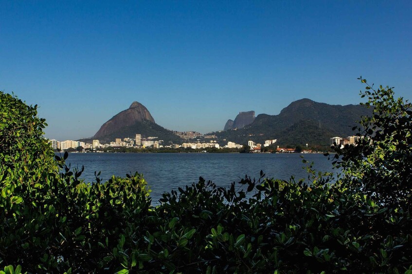 Picture 6 for Activity Rio de Janeiro: Guided Bike Tours in Small Groups