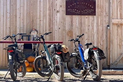 EBIKE Winery Tour in Penrose, Colorado: Penrose Uncorked