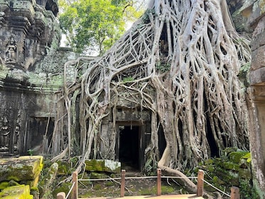 Cambodge : Ne faites pas la queue : Service express pour l'Angkor Temple Pa...